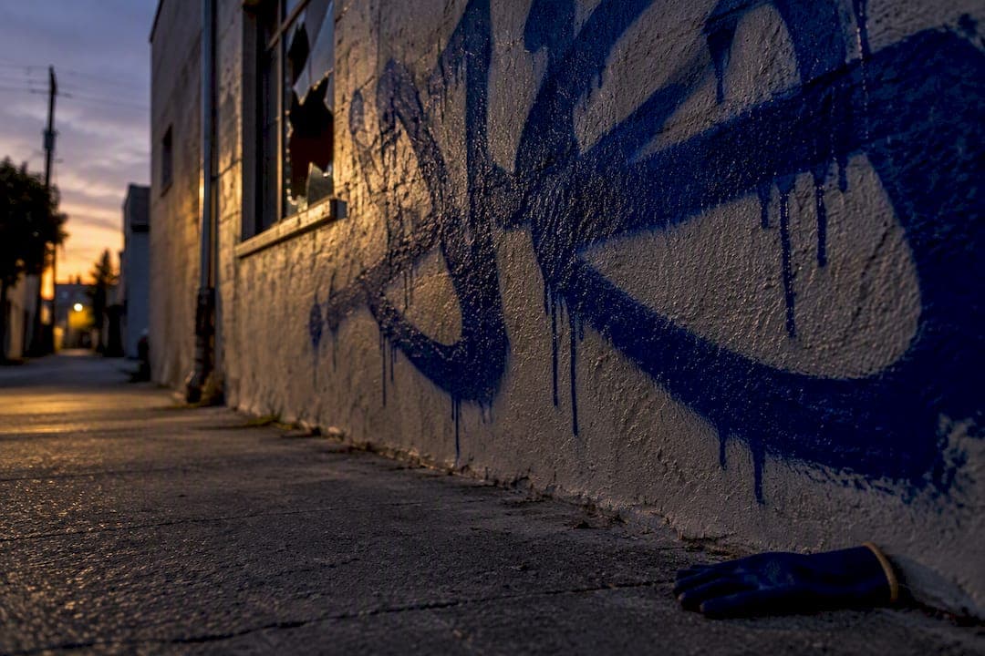 24 Hour Plan to Get Out on Vandalism Bail in California